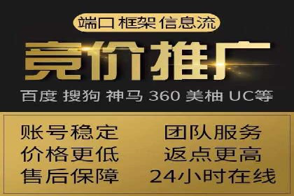 SEM服务公司成功案例解读
